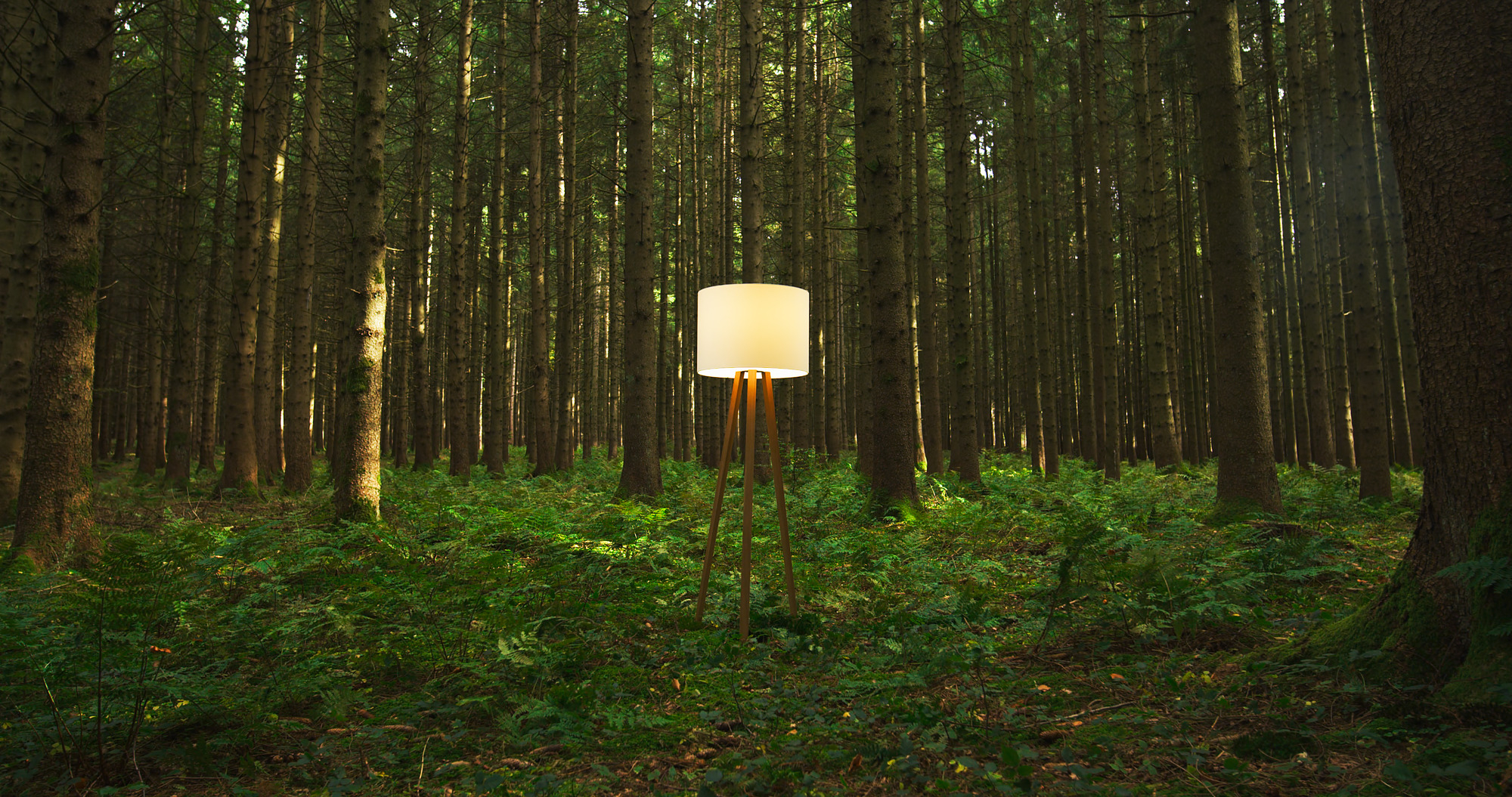 Luca Stand Stehleuchte mit Eichenholz-Gestell und naturweißem Filzschirm im Wald. Moderne Innenbeleuchtung.