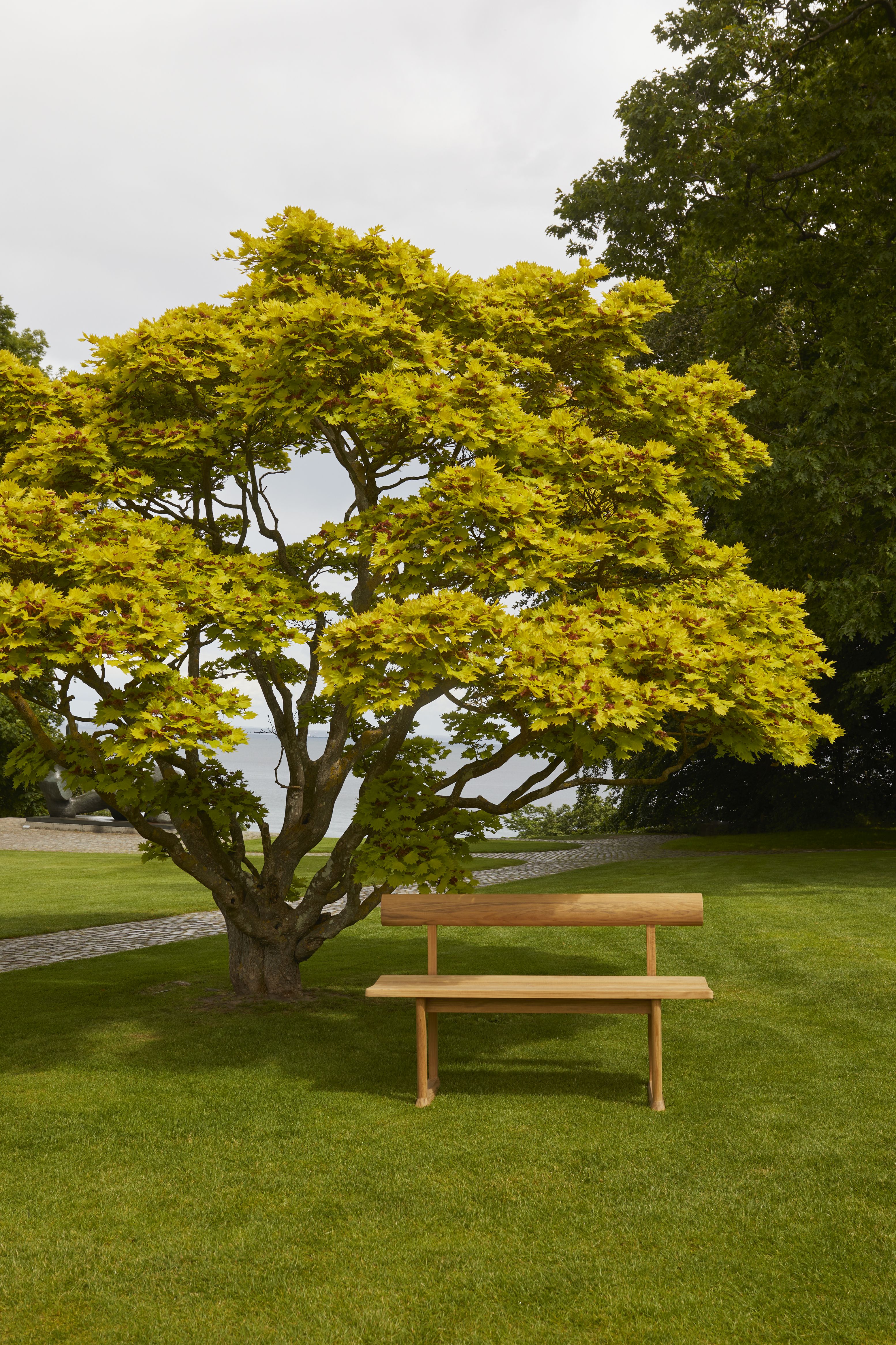 Banco Bank Teak Outdoor von Skagerak by Fritz Hansen vor Baum auf Rasenfläche.