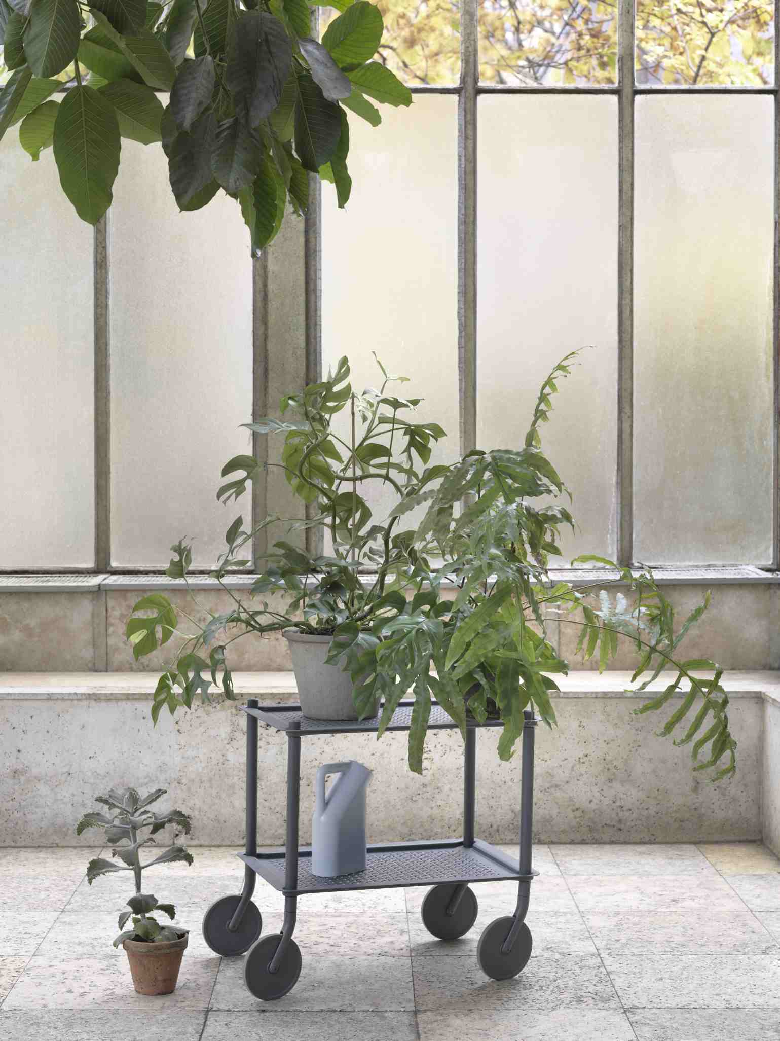 Muuto Flow Trolley Servierwagen mit Pflanze und Gießkanne vor einem Fenster, modernes Möbeldesign für Wohnraum.