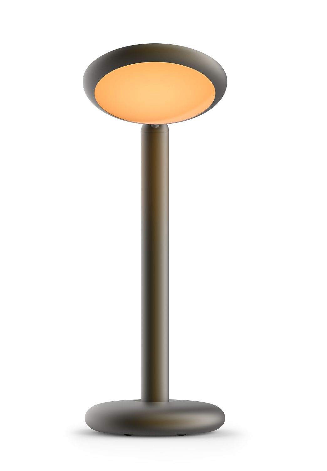 Parrot Table Lamp Tischleuchte Grau: Moderne graue Tischlampe mit warmem Licht für Nachttisch.