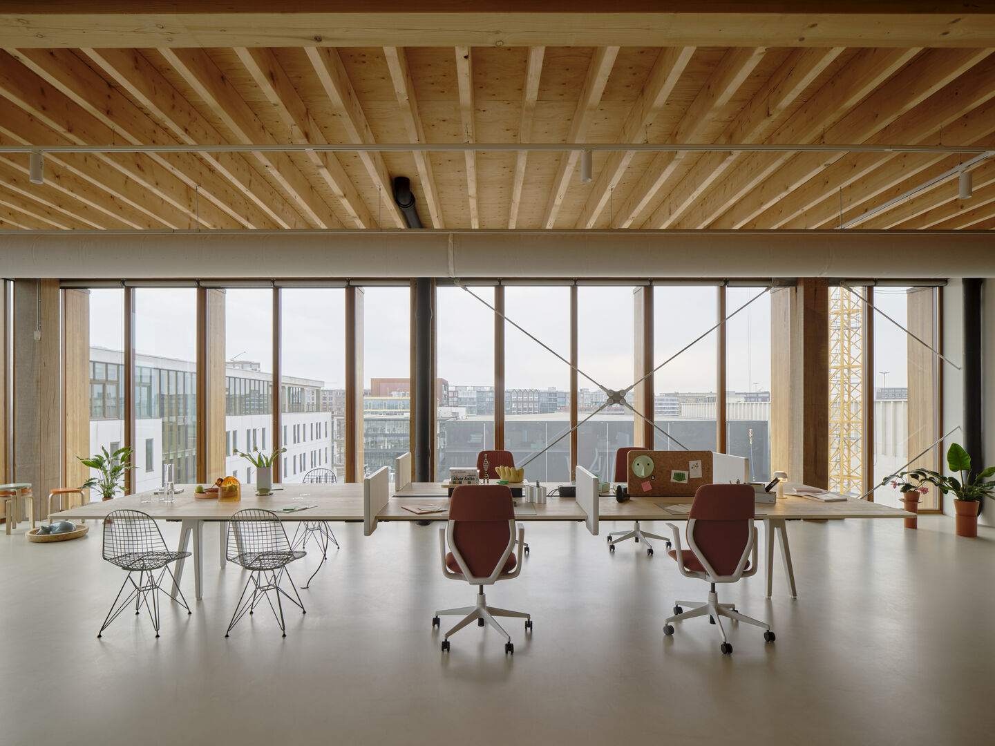 Büro mit DKR Wire Chairs von Vitra, Stühle mit Sitzpolster und Schreibtisch, moderne Büroeinrichtung.