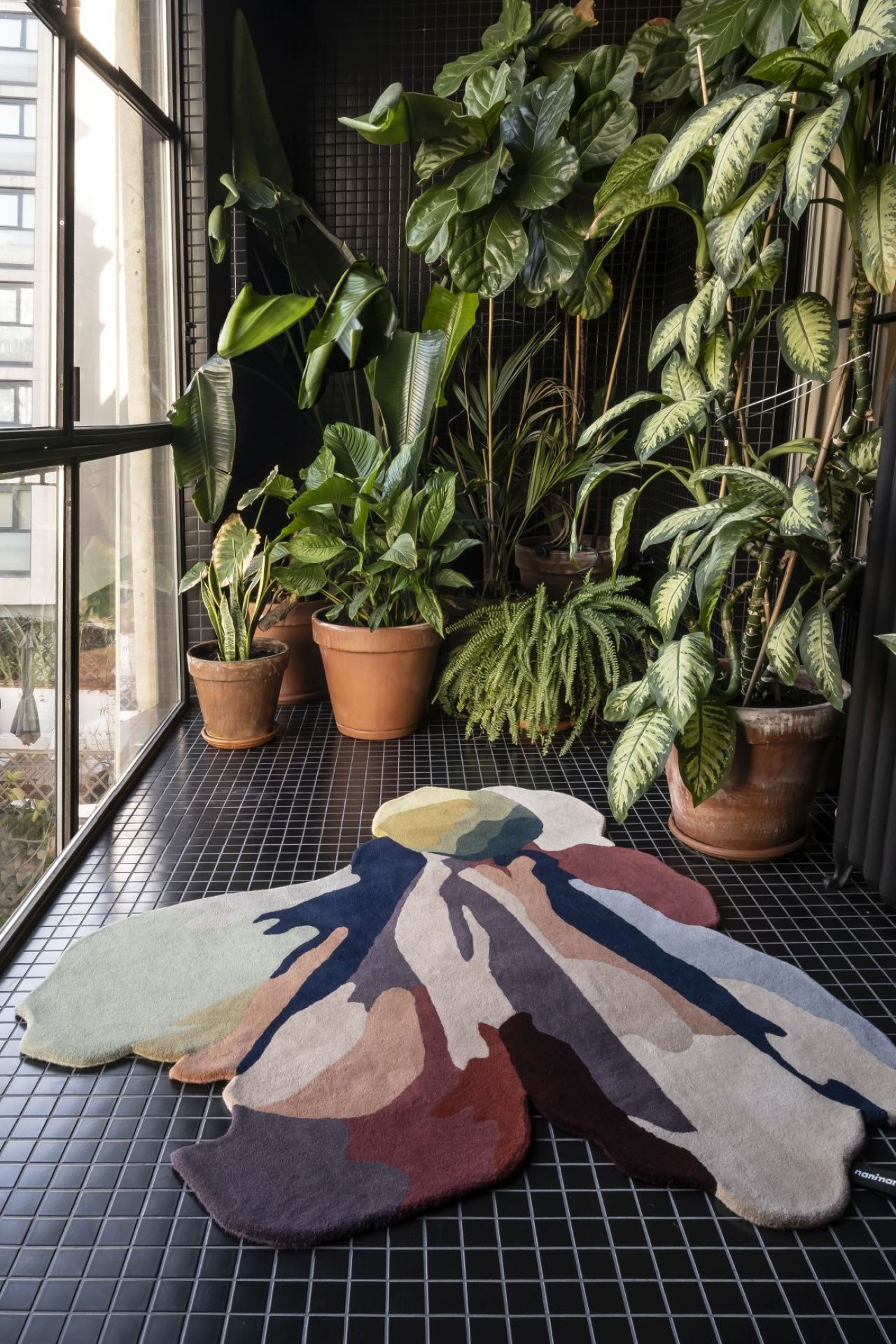 Farbenfroher, abstrakter Teppich im Innenraum mit Pflanzen und schwarzem Fliesenboden. Designteppich für modernes Wohnambiente.