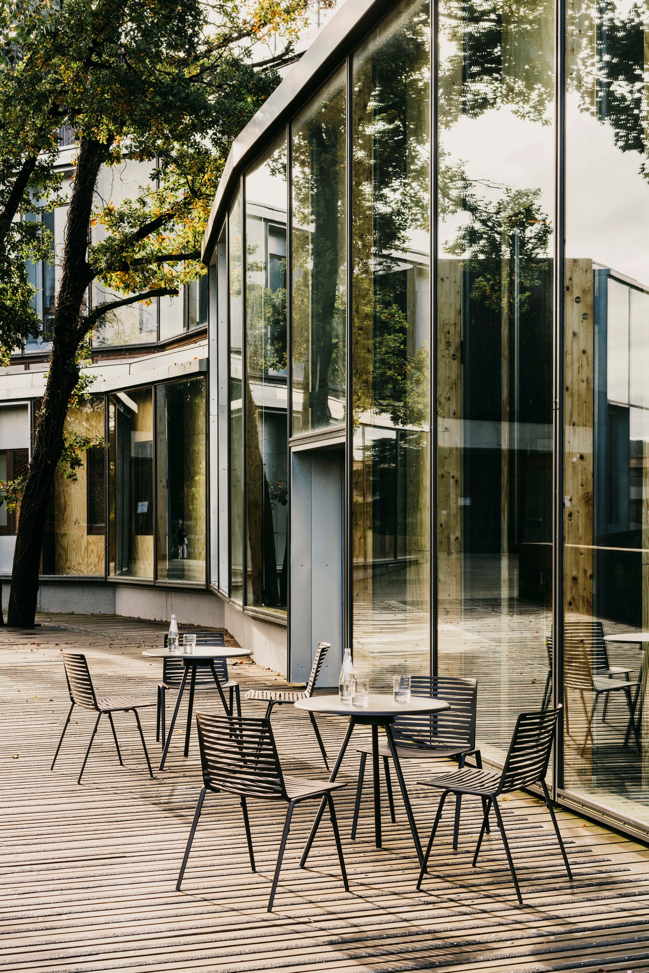 Draufsicht auf Zebra Stühle mit Armlehnen in Cremeweiß, modernes Outdoor-Mobiliar für Terrasse und Garten.