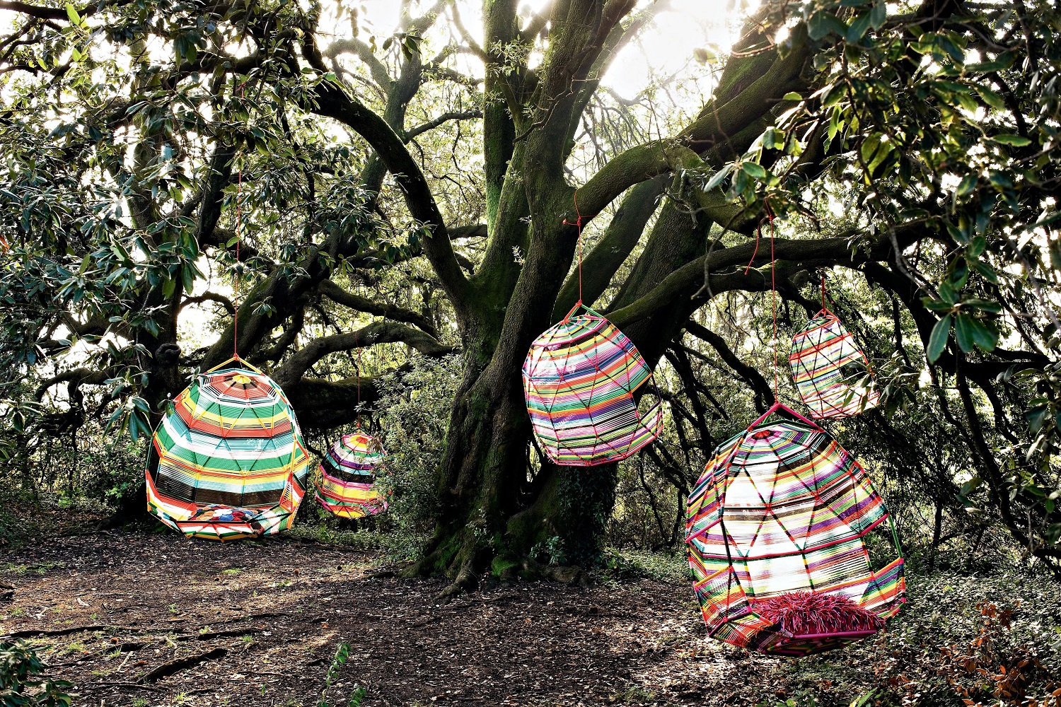Mehrere bunte Hängesessel im Boho-Stil hängen an einem Baum im Wald, Outdoor-Möbel.