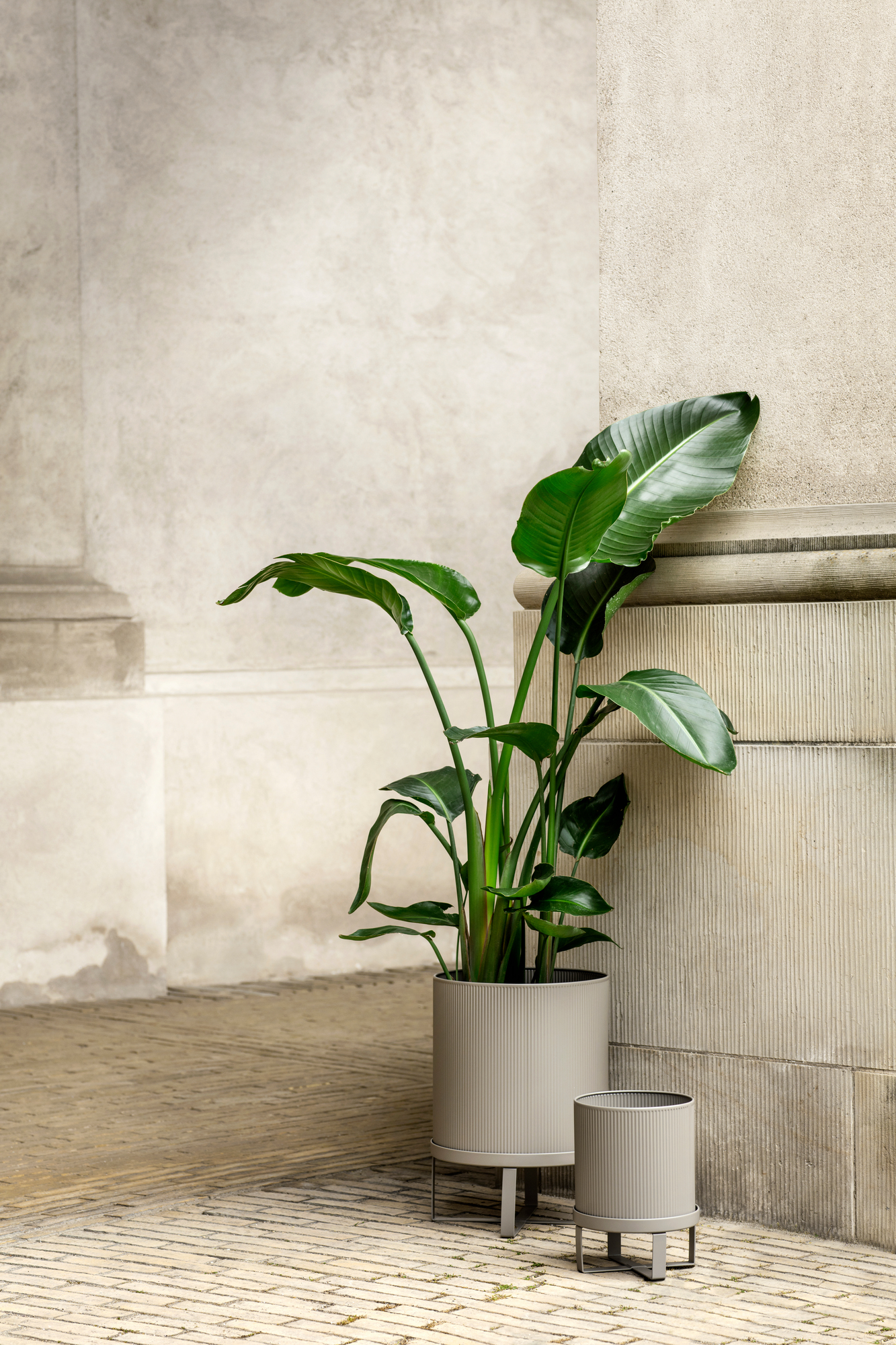 Großer, grauer Ferm Living Bau Pot Blumentopf mit Pflanze, stehend vor einer beigen Wand.
