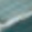 Bahama's 168