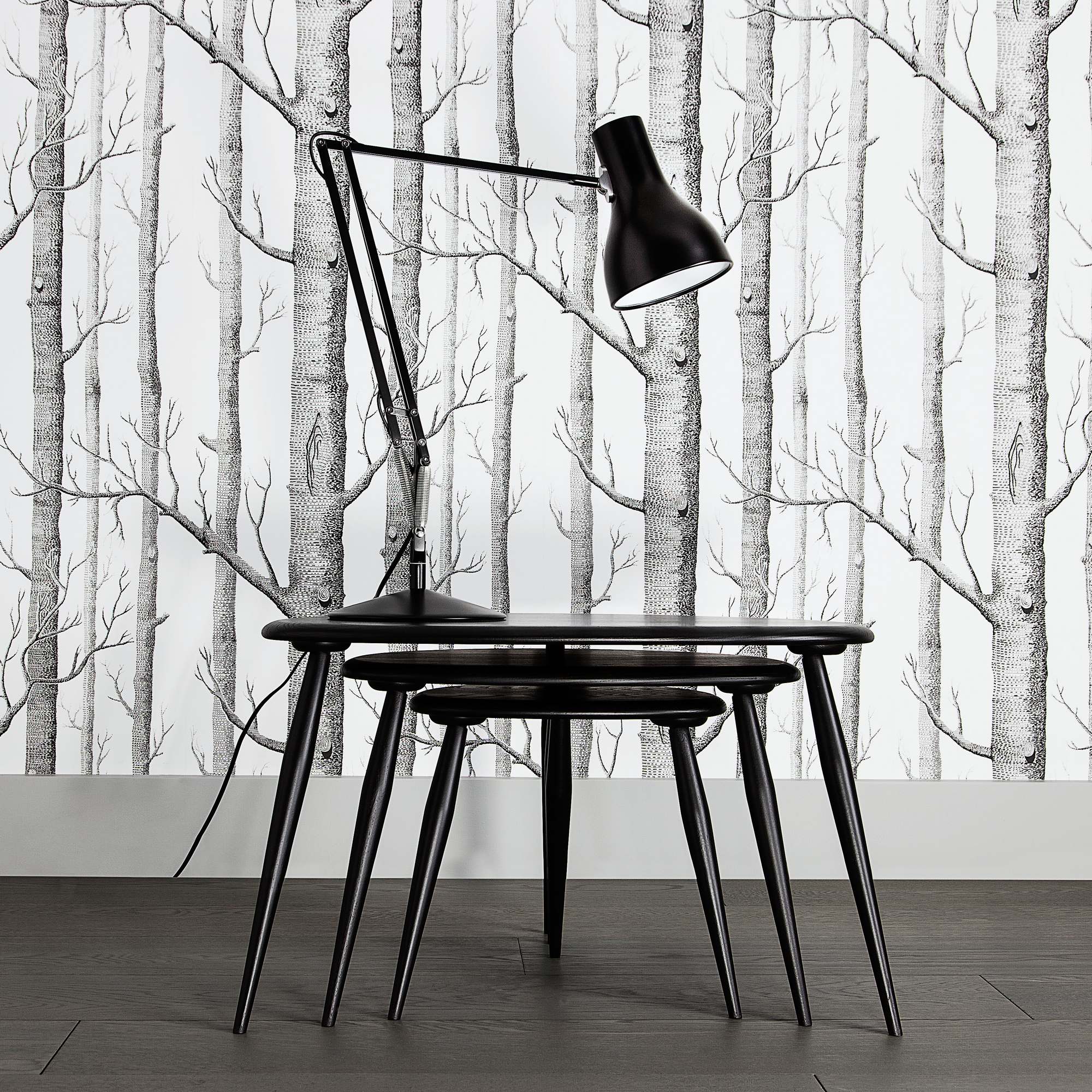 Schwarze Anglepoise Type 75 Tischleuchte auf einem schwarzen Tisch vor einer Tapete mit Birkenwaldmuster.