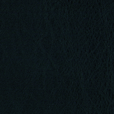 B0187 T - Zwart leer