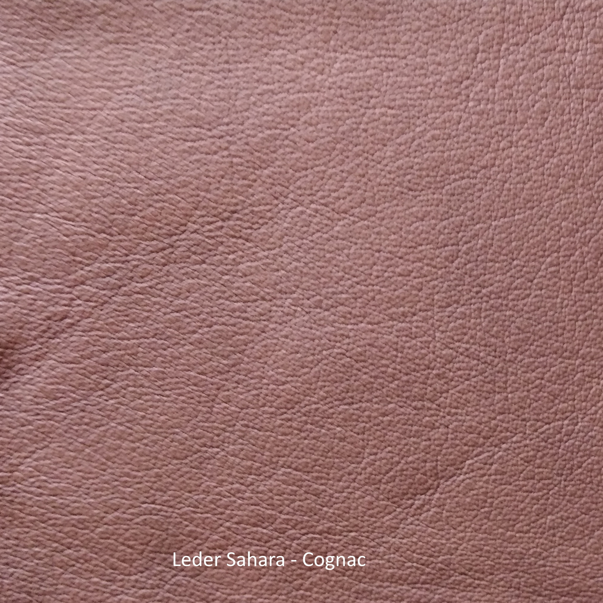 Nahaufnahme der Ledermusterkarte Sahara von Freifrau Manufaktur in Cognac, hochwertiges Möbelleder.