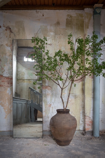 Grosse, rechteckige Stehspiegel mit Vintage-Vase und Grünpflanze vor einer alten Wand. Dekorative Spiegel für Wohnzimmer.