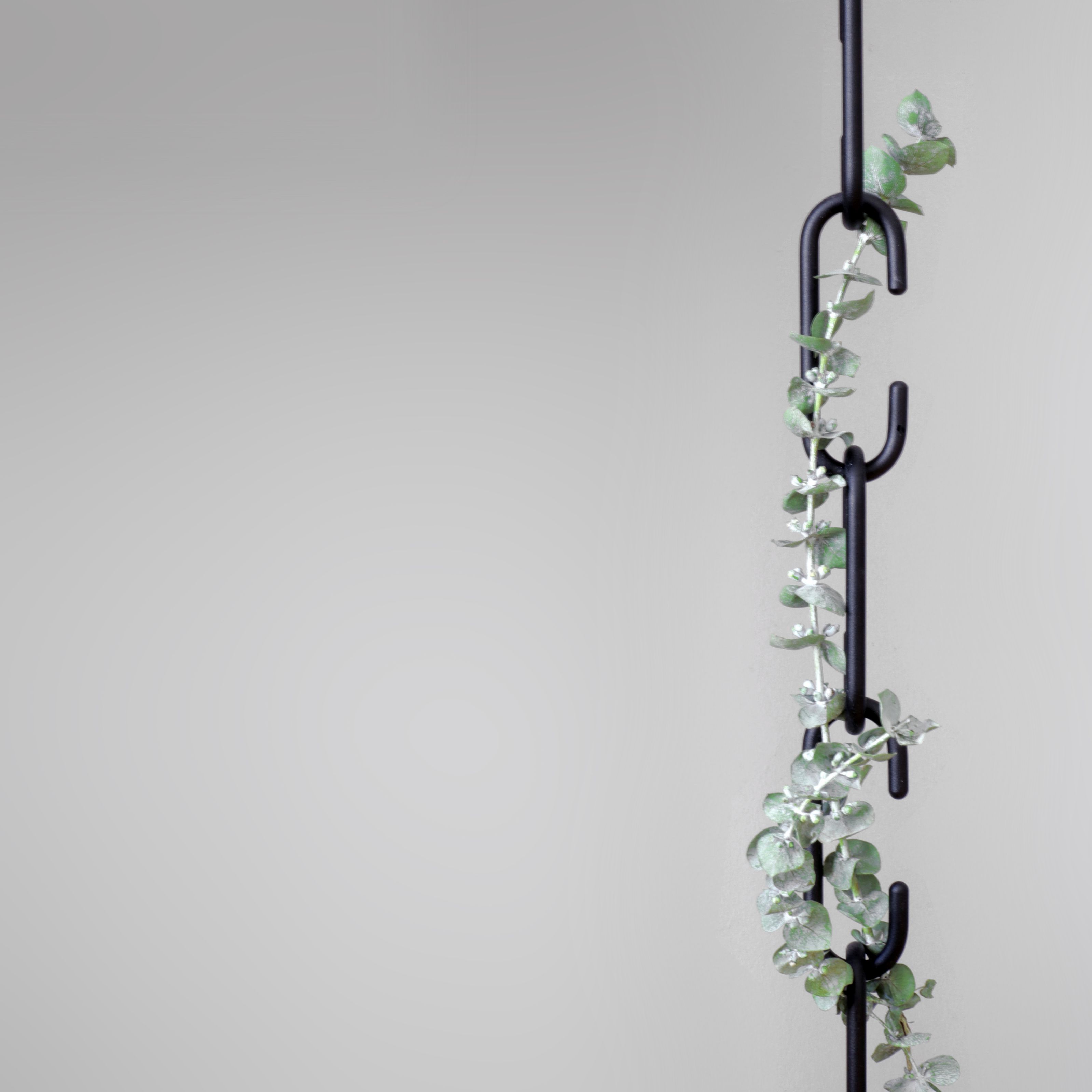 Roomsafari C+C Haken, schwarz, mit Eukalyptus-Girlande an einer Wand. Wandhaken für Garderobe und Dekoration.