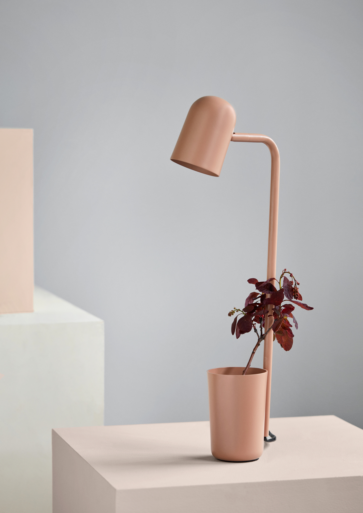 Buddy LED Tischleuchte in Rosa mit Pflanze, moderne Schreibtischlampe für Büro und Zuhause.
