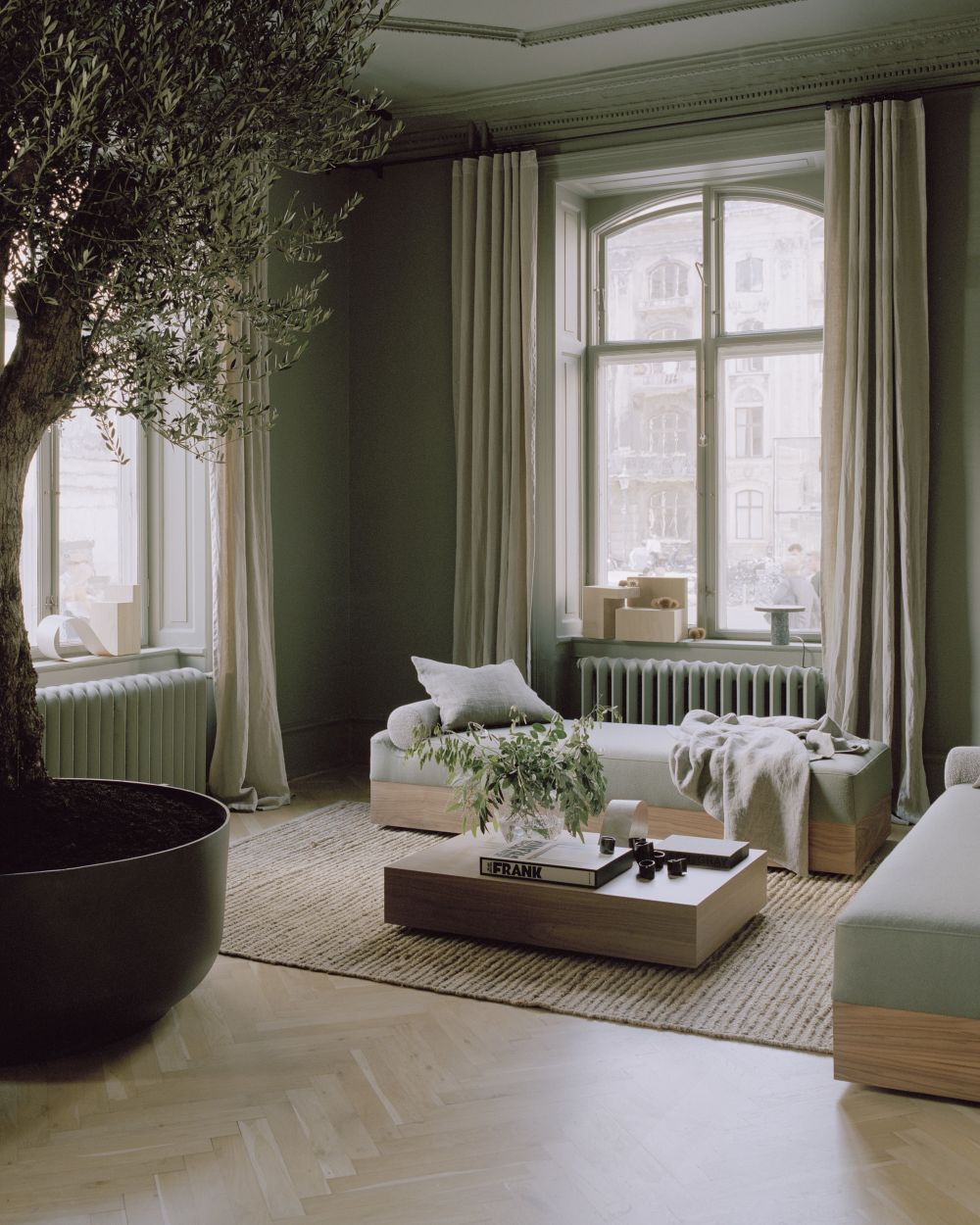 Elegantes Wohnzimmer mit Olivenbaum, beigen Vorhängen, modernem Sofa und Couchtisch auf einem Teppich.