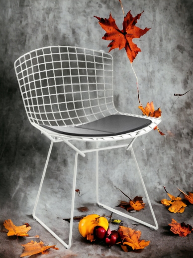 Bertoia-stoel OUTDOOR Knoll International Quick-Ship