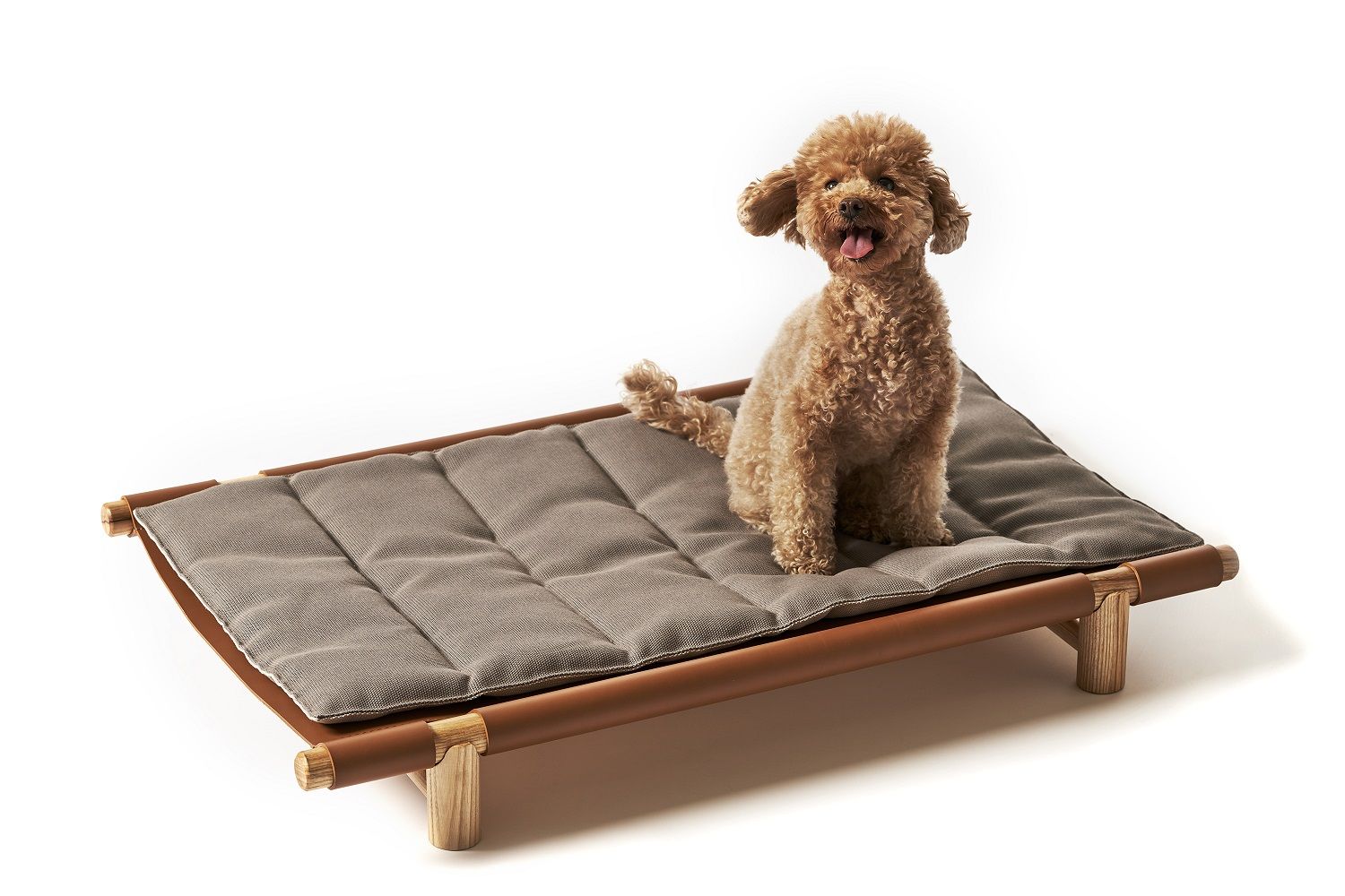 Brauner Pudel sitzt auf grauem Kissen mit Bezug für ein Hundebett von Opinion Ciatti.