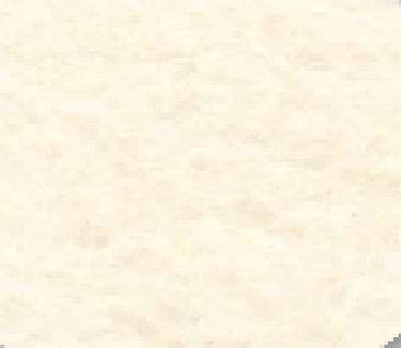 Witte wol