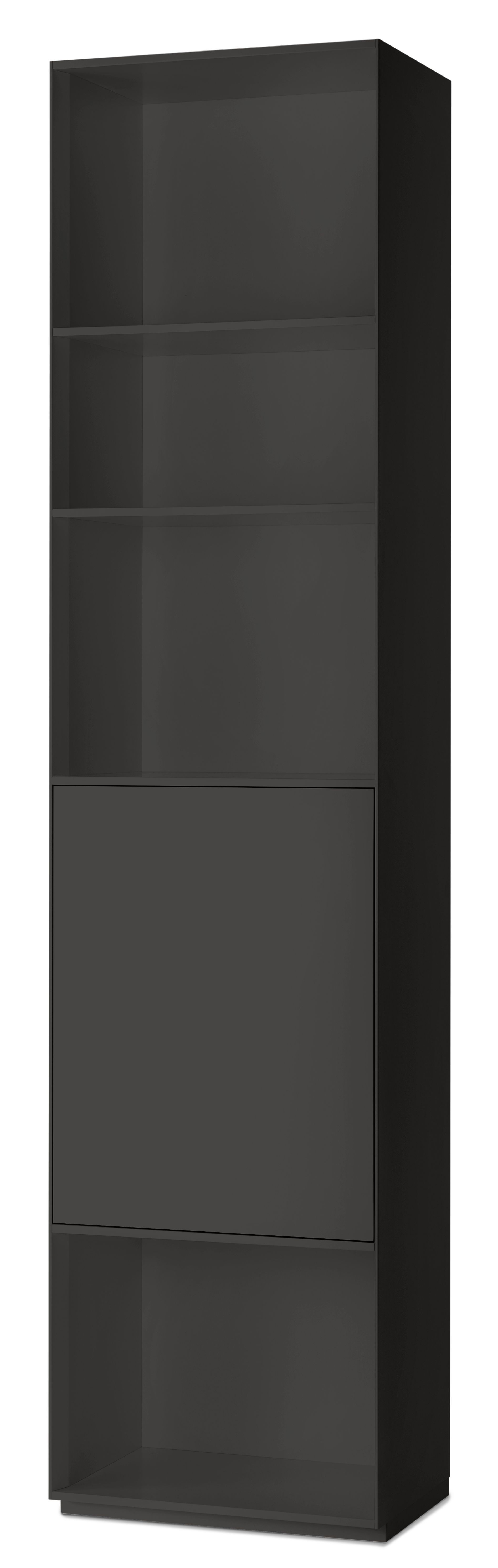 Piure Nex Pur Regal mit Tür und Fachboden in Anthrazit, modernes Wohnzimmermöbel für stilvolle Einrichtung.