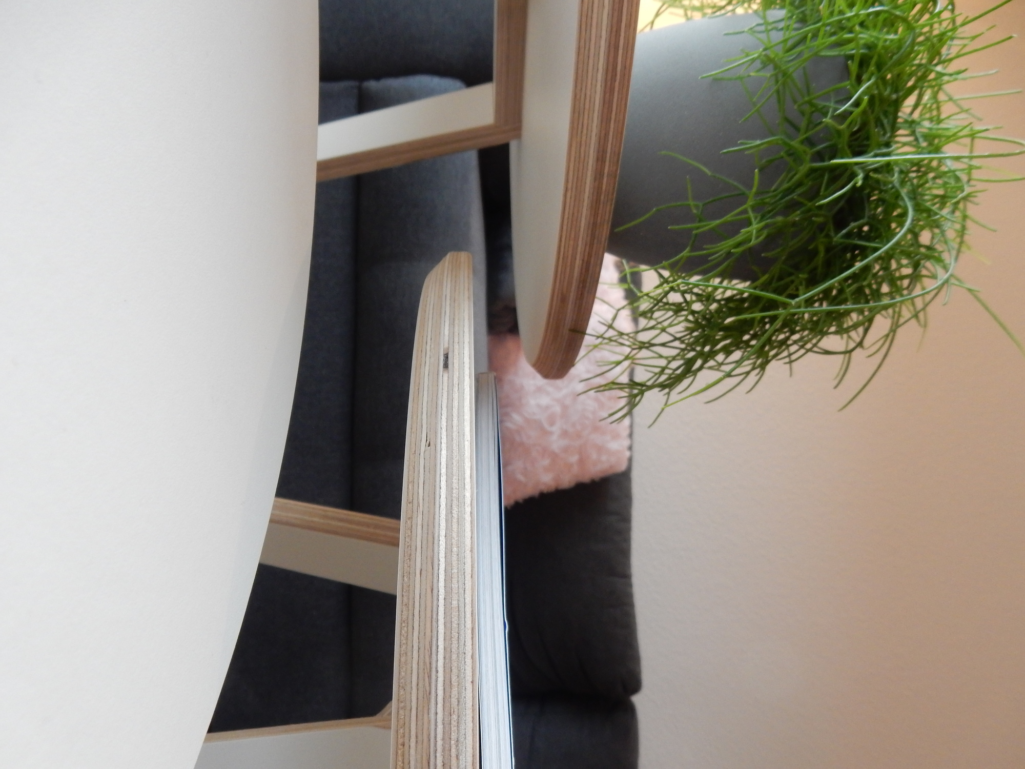 Detailaufnahme des Tojo Rund Tisch 500 aus Holz mit weißer Tischplatte, kombiniert mit Zimmerpflanze.