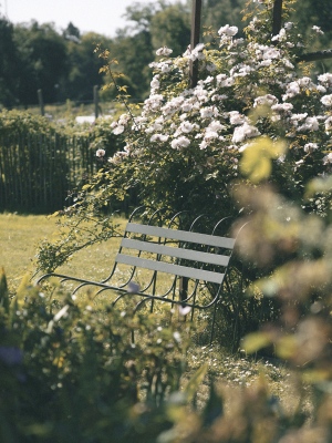 Gardener's Sofa von Design House Stockholm im Garten, umrankt von Rosen und Grünpflanzen.