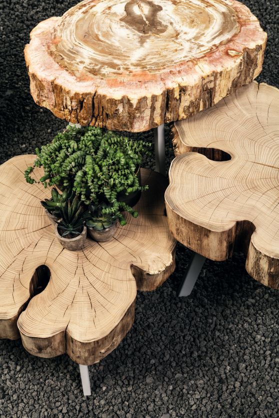 BC 05 Stomp Outdoor Couchtisch/Beistelltisch Janua aus Baumscheiben mit Pflanzen auf dunklem Kiesboden.
