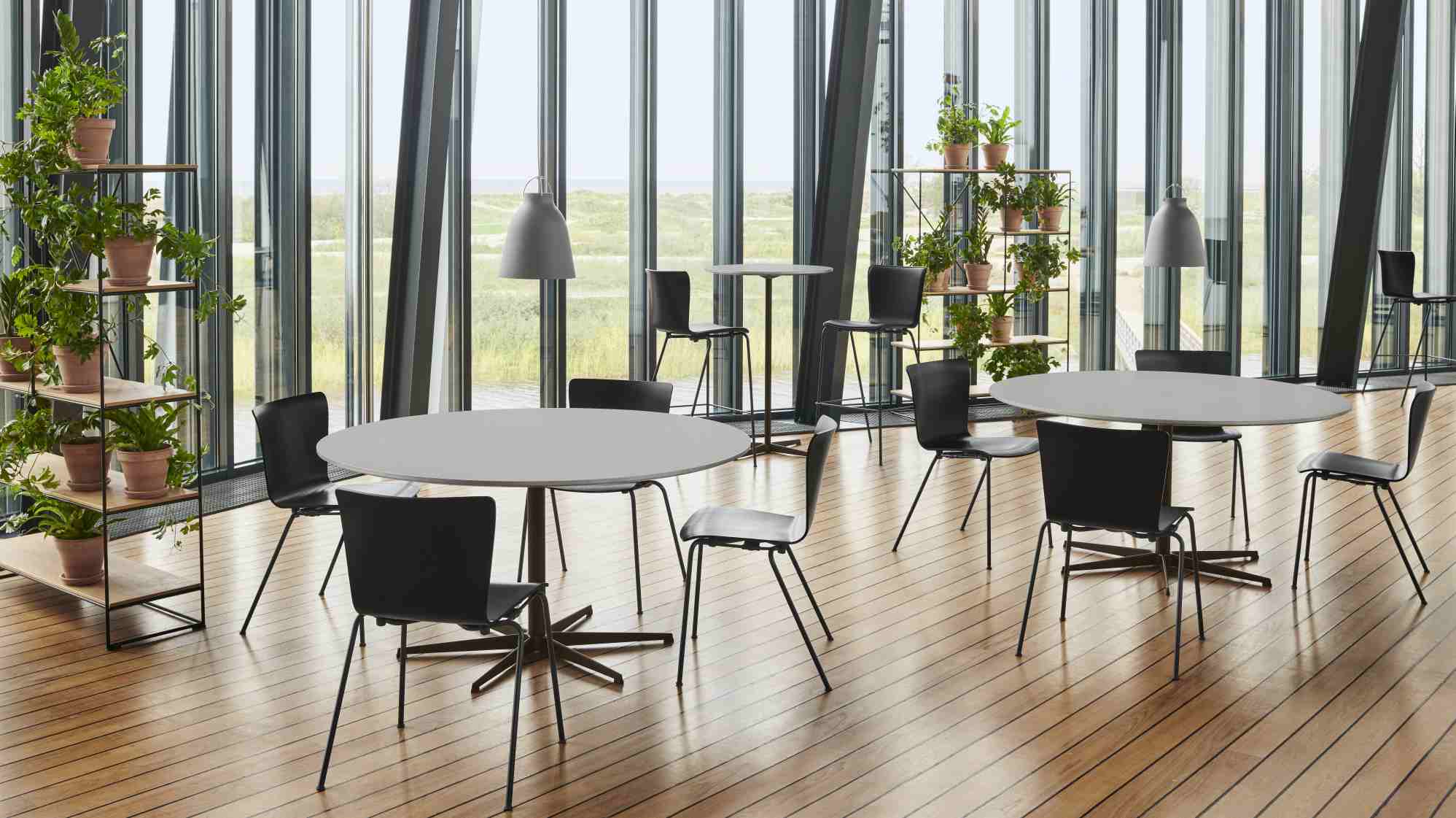 Heller Raum mit mehreren runden Zirkular Tischen von Fritz Hansen und schwarzen Stühlen auf Holzboden.