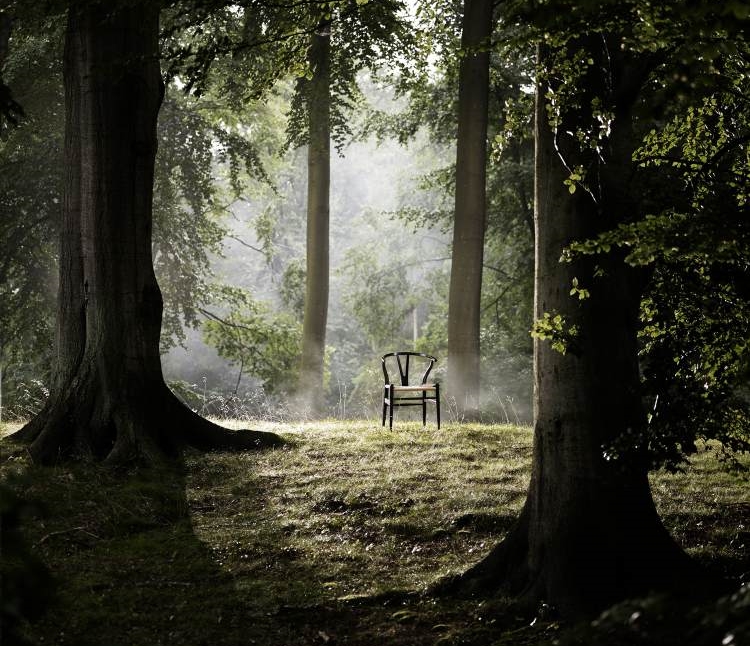 Schwarzer Holzstuhl mit heller Sitzfläche im Wald, umgeben von Bäumen und Nebel.