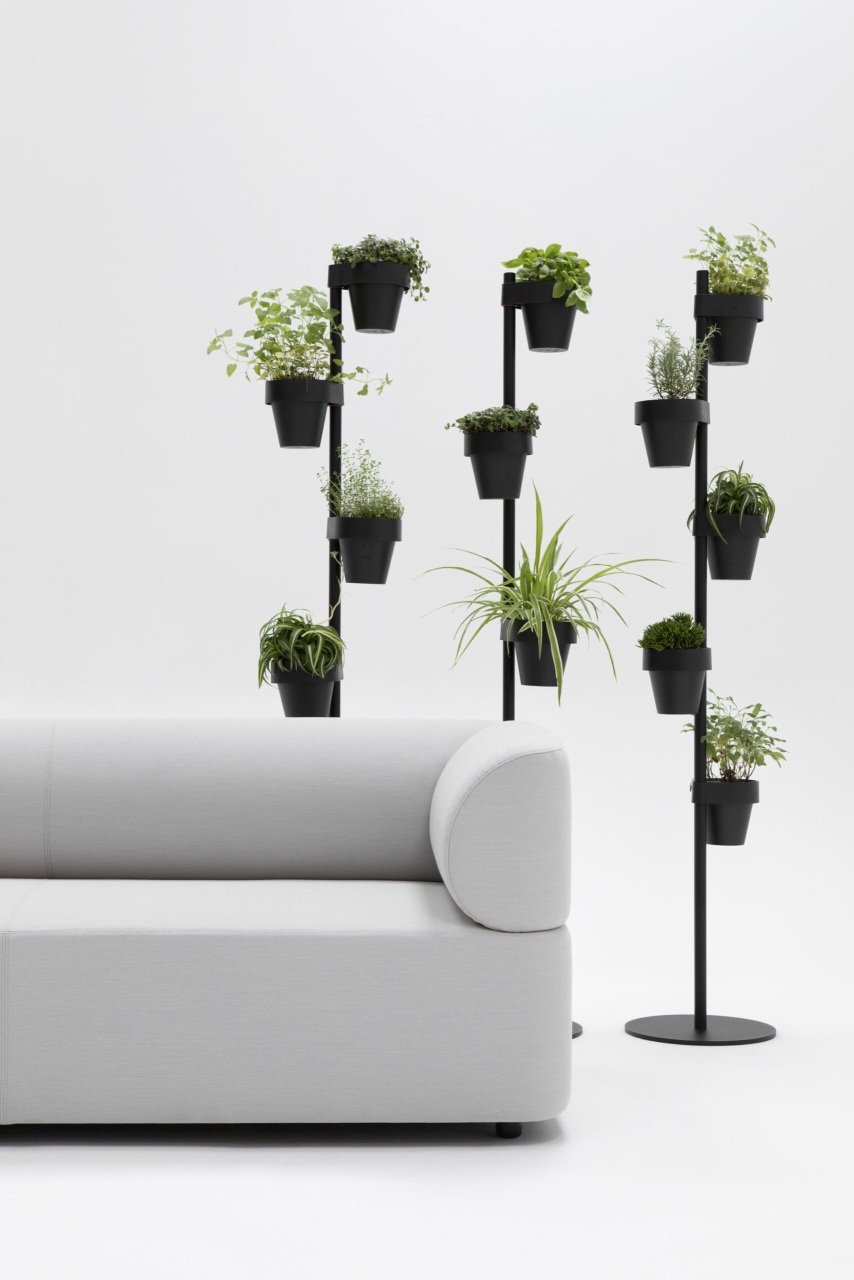 Helles Mezza Sofa von Cascando mit Pflanzenständer im minimalistischen Design für modernes Wohnen und Büroeinrichtung.