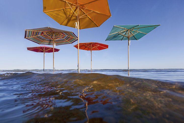 Mehrfarbige Weishäupl Sonnenschirme im Wasser, verschiedene Farben und Formen, ideal für Garten und Terrasse.