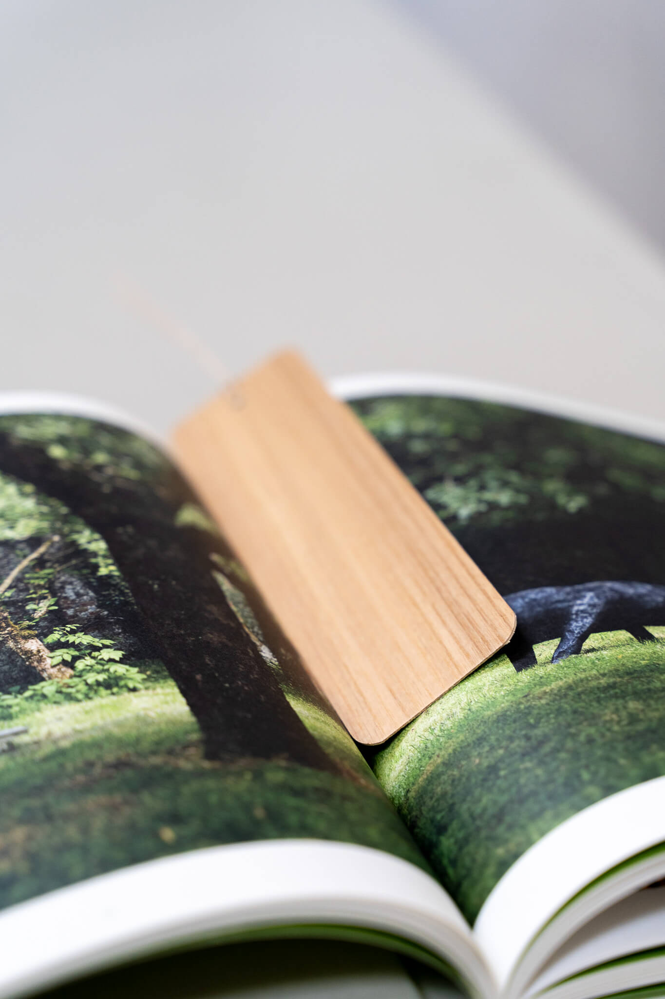 Gofurnit Holzmuster: Nahaufnahme eines hellen Holzfurnier-Musters in einem aufgeschlagenen Buch.
