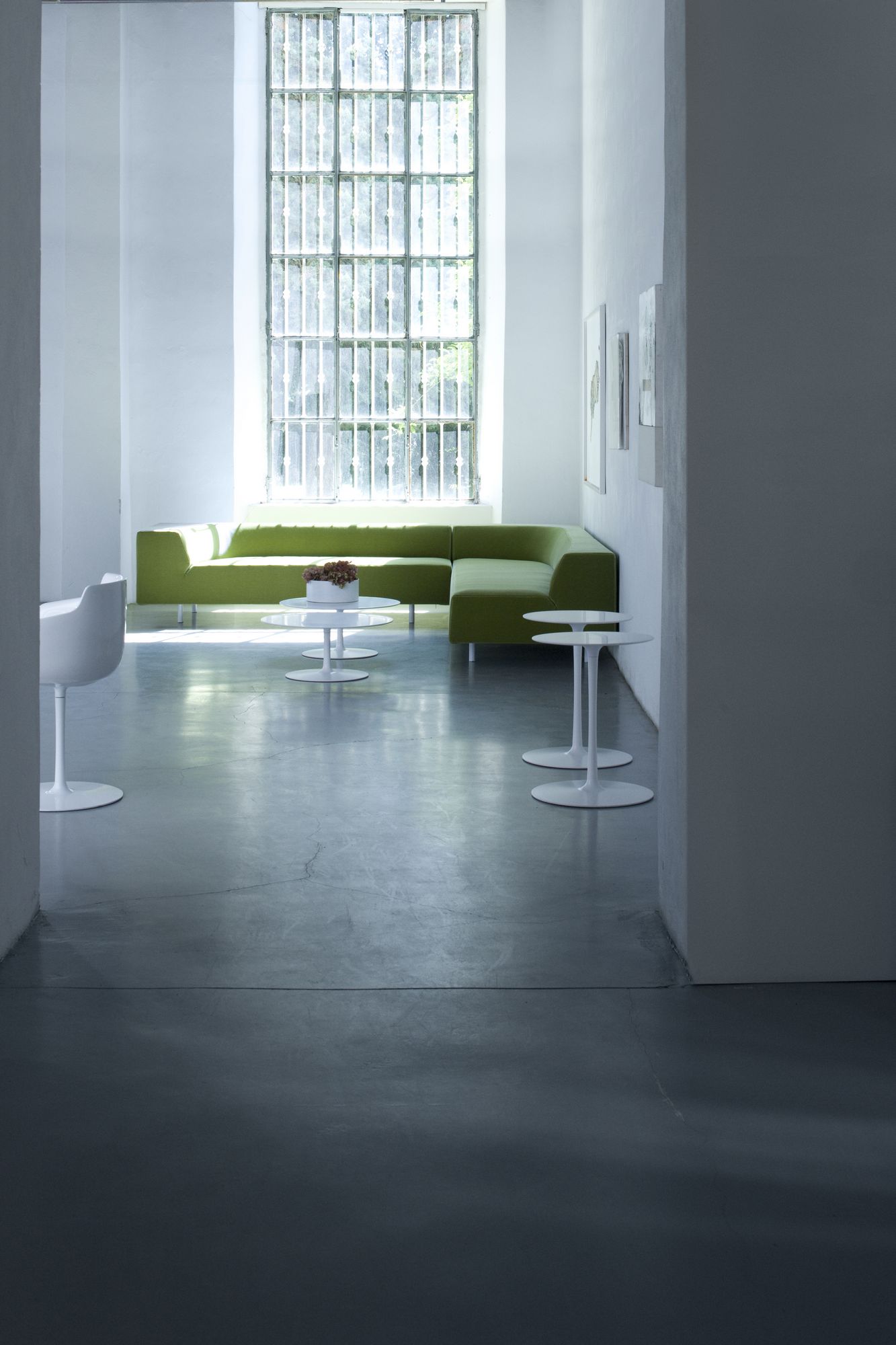 Heller Raum mit grünem Sofa und weißen Flow Low Table Beistelltischen von MDF Italia.