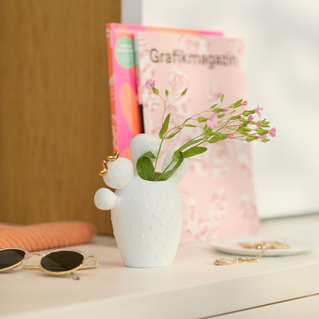 Cactusvaas: vijgencactus met Räder