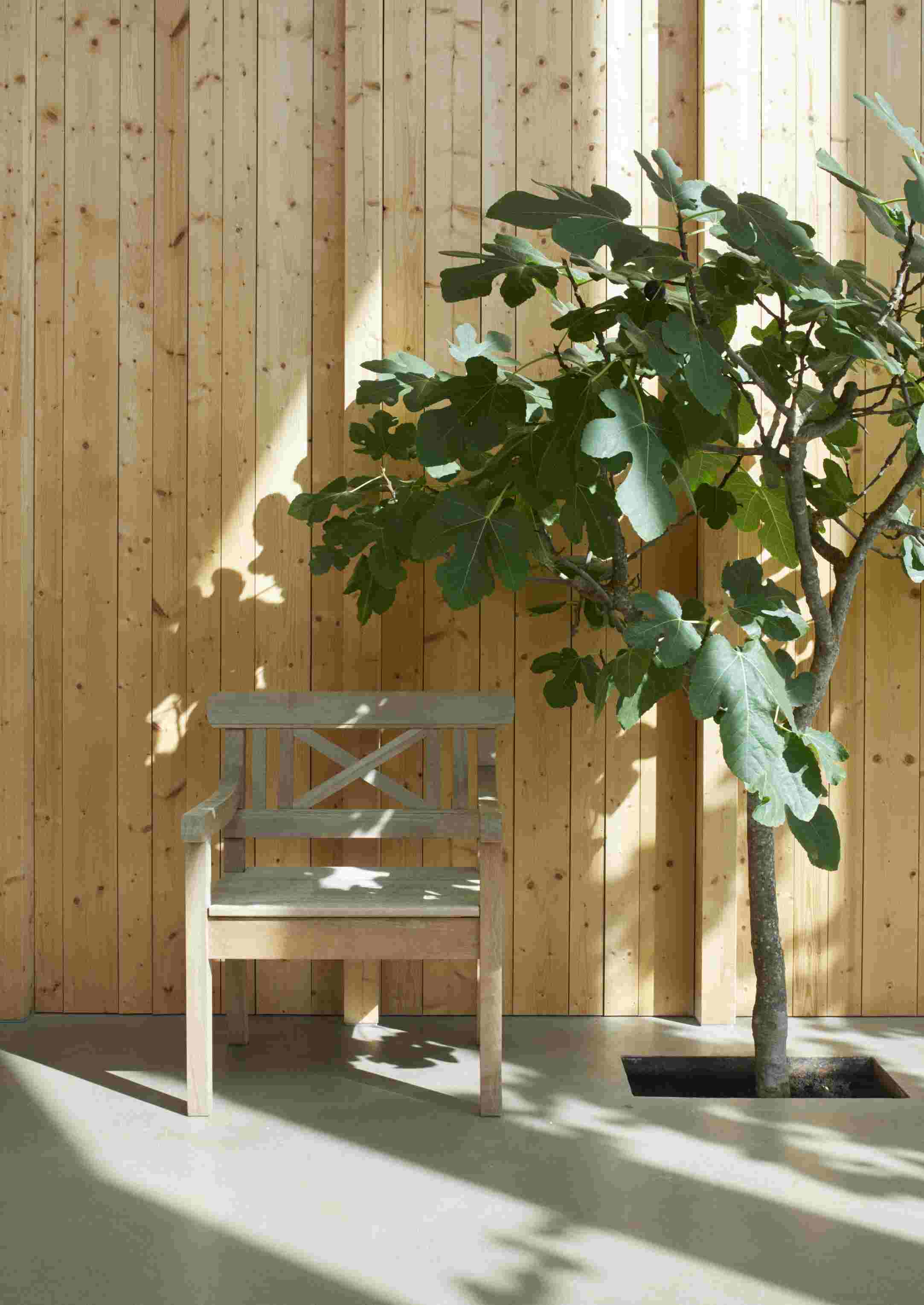 Drachmann Stuhl von Skagerak: Holzstuhl für den Garten neben einem kleinen Baum.