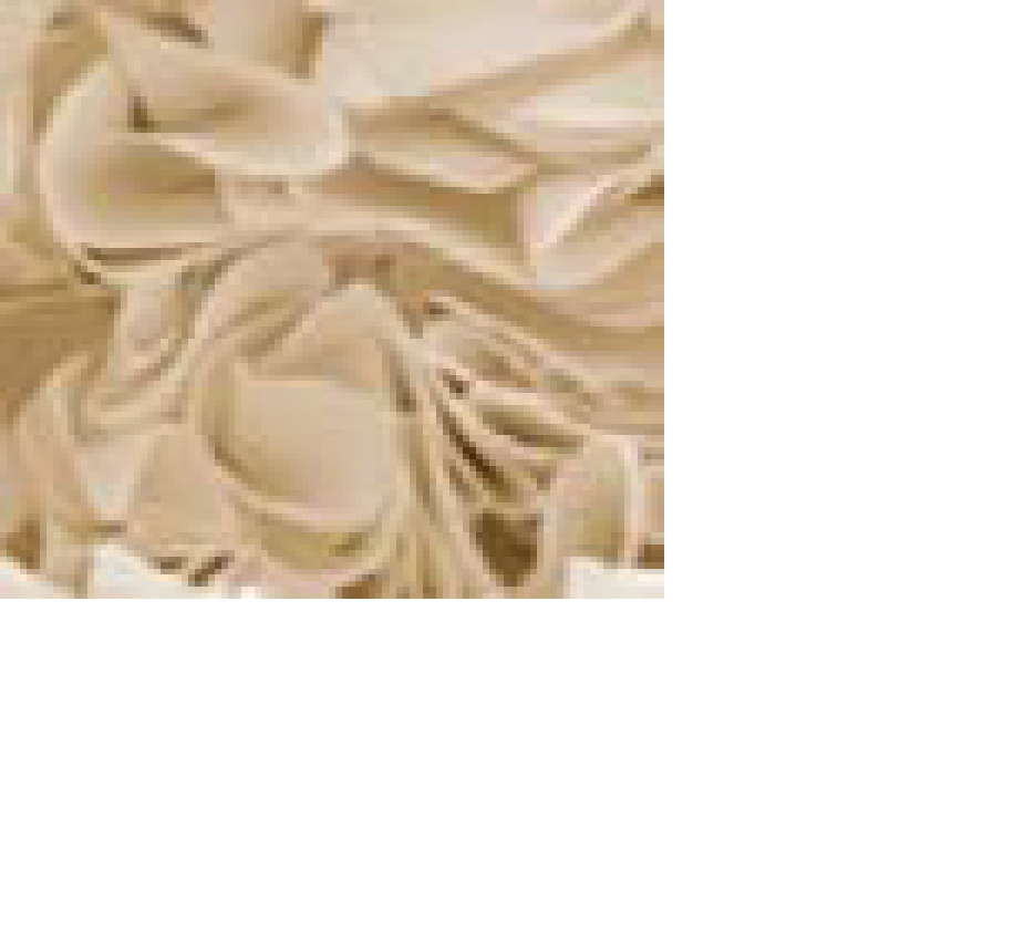Bloemen wit / Rug wit