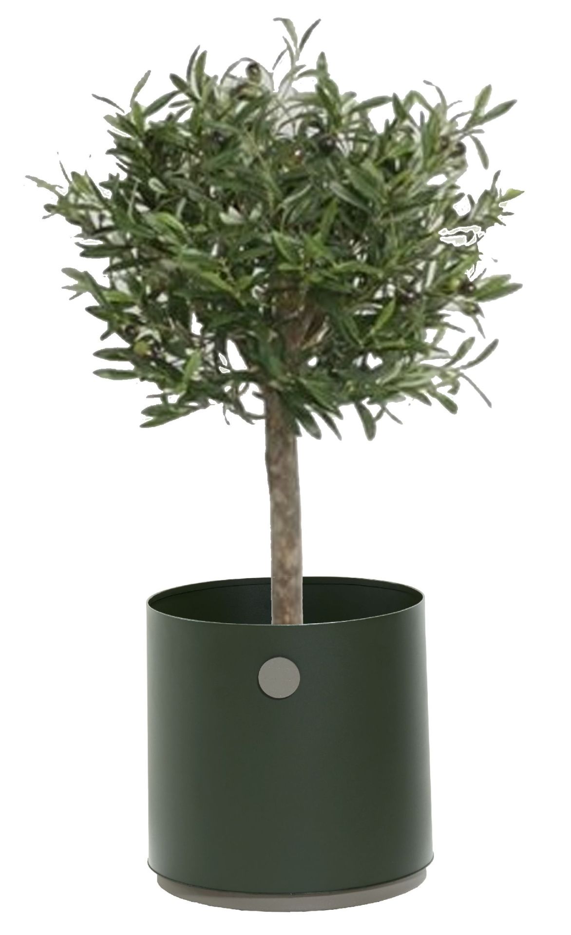 Grow Planter plantenbak Small Outdoor Cane-Line