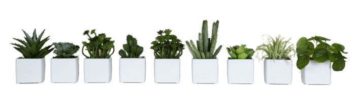 Phoenix Mini-kubuspotten voor vetplanten, set van 9, wit, kunstplant van Tanaman