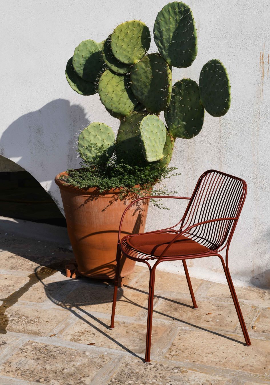Hiray Outdoor Stuhl mit Armlehne von Kartell in Rotbraun vor Kaktus und weißer Wand.