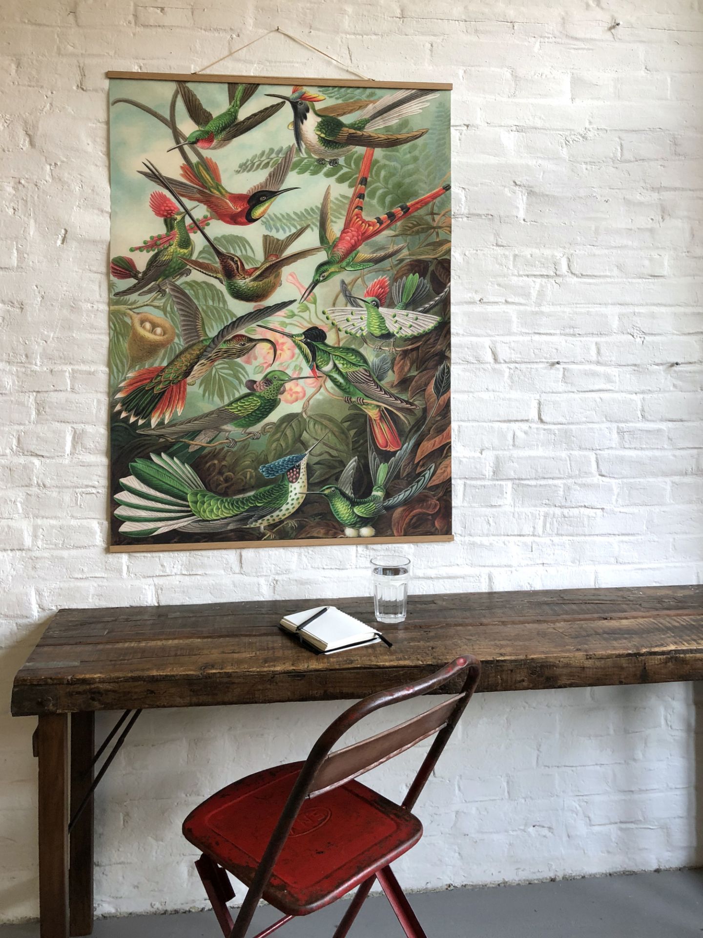 Fruits Poster NO 100: Vintage Illustration von Kolibris, Wandbild für Wohnzimmer und Büro.