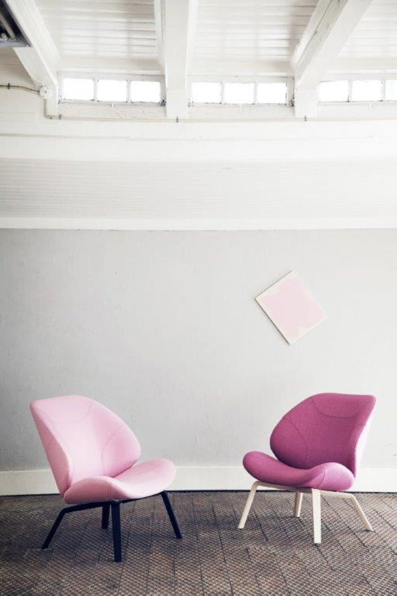 Zwei moderne Eden Sessel von Softline in Rosa und Lila vor einer grauen Wand.