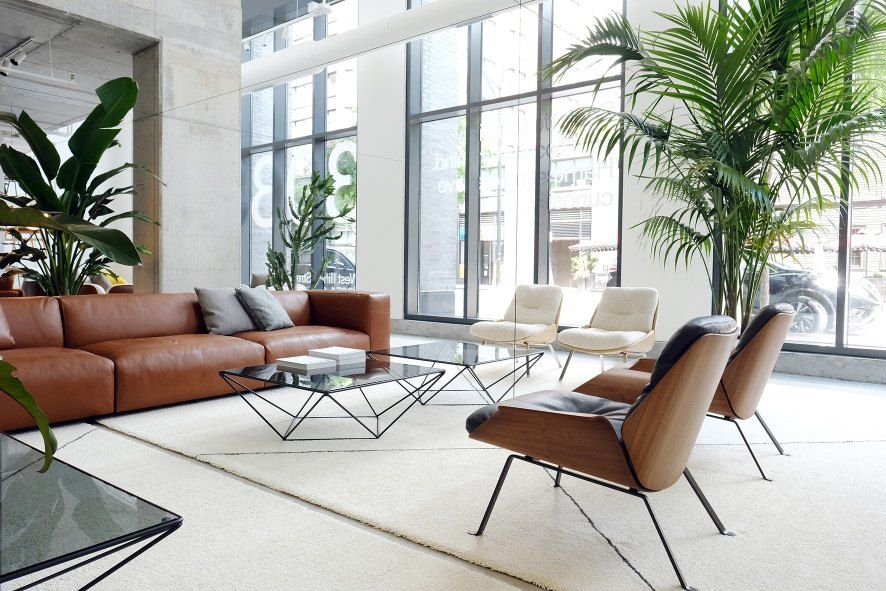 Helles Wohnzimmer mit Rei Sessel von Prostoria, Ledersofa, Couchtischen und Zimmerpflanzen. Modernes Möbeldesign.