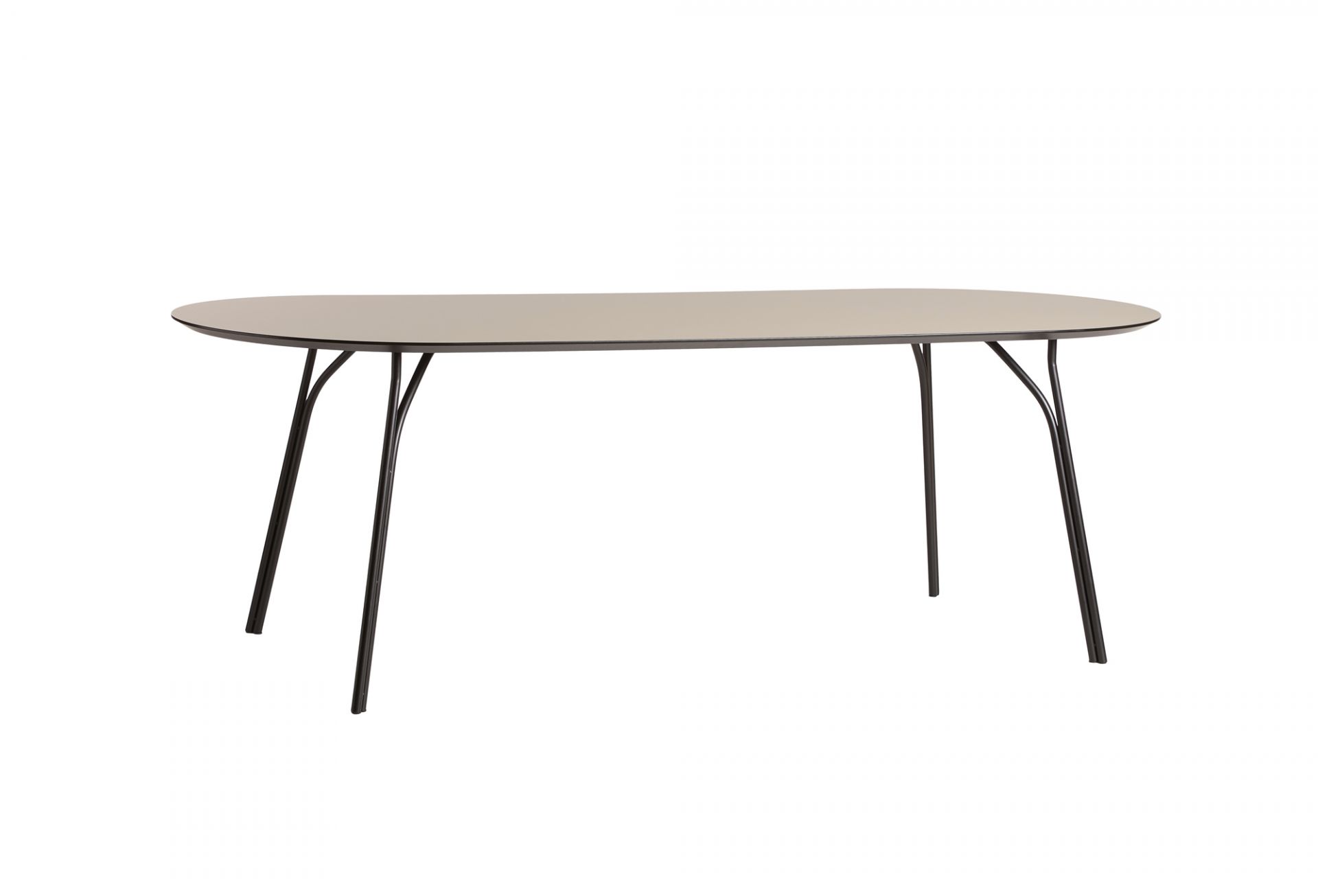 Woud Tree Esstisch 90x220: Moderner Tisch mit ovaler Tischplatte und schwarzen Metallbeinen.
