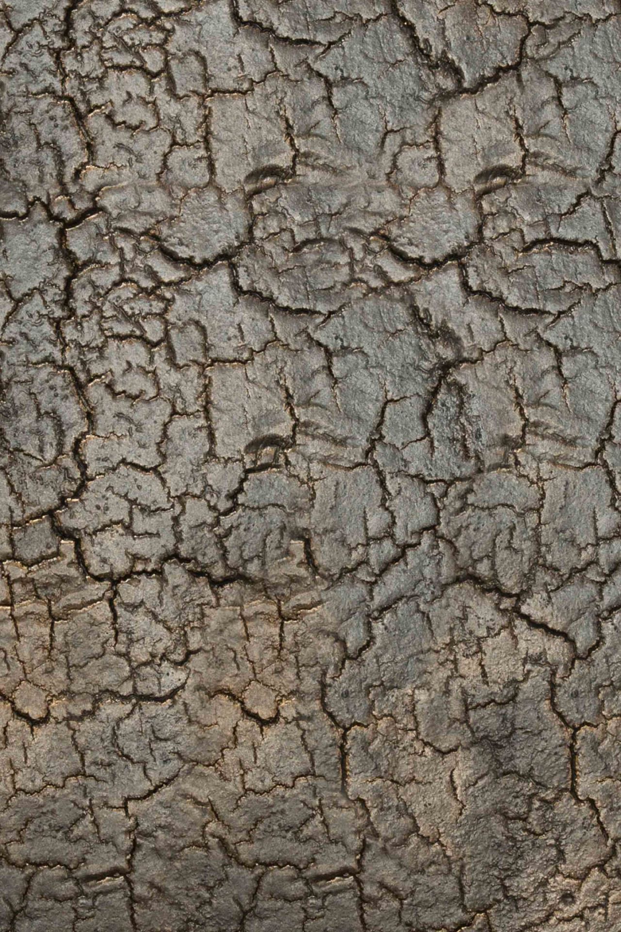 Detailaufnahme der Ethnicraft Pentagon Konsole in Lava: Nahaufnahme der einzigartigen, rissigen Textur.