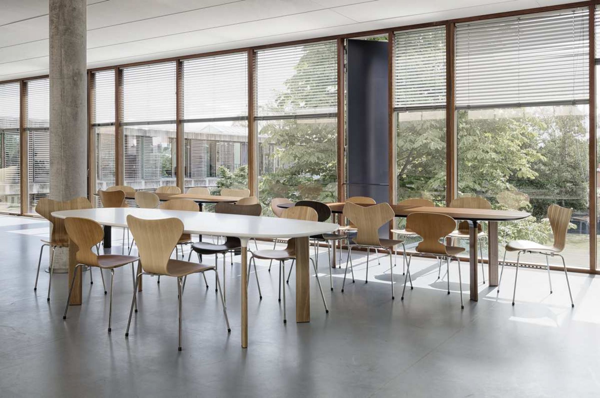 Heller Raum mit Fritz Hansen Analog Tisch, oval, weiß, umgeben von Holzstühlen.