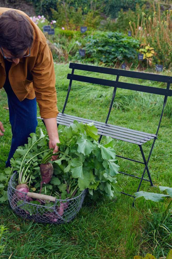 Mann erntet Gemüse neben einer schwarzen Fermob Bistro Klappbank im Garten, Outdoor-Möbel für zwei Personen.