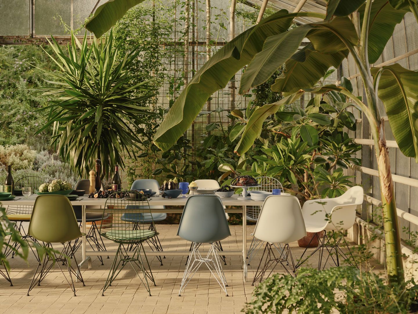 Eames Plastic Armchair DAR Stühle von Vitra um einen Esstisch in einem Gewächshaus.