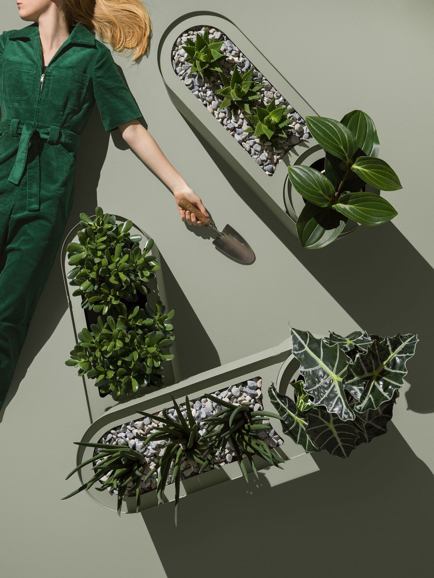 Frau im grünen Overall mit Plant Here Pflanzenboxen und verschiedenen Zimmerpflanzen.