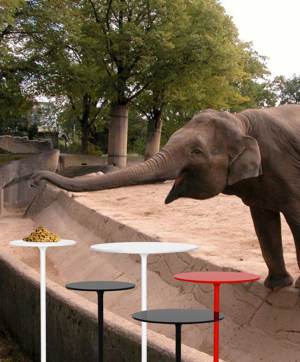 Fantasievolles Bild: Mehrere farbige Beistelltische, darunter ein Poppy Tisch, vor einem Elefanten im Zoo.