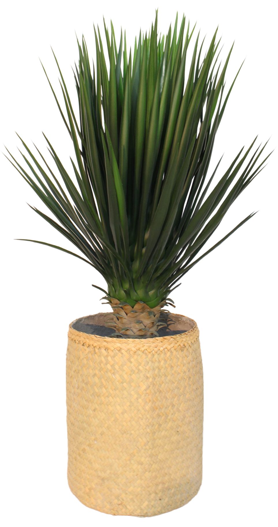 Nairobie Yucca kunstplant Tanaman   