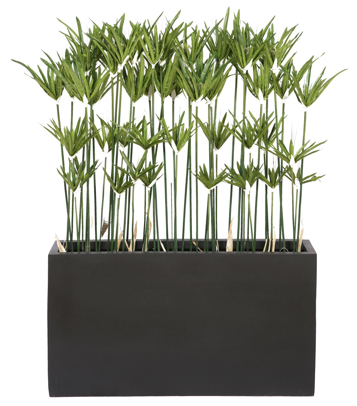 Kyoto Paapyrus kunstplant Tanaman 