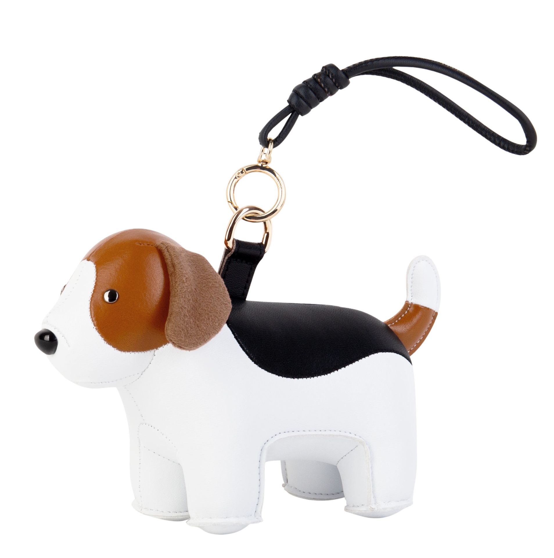 Tashanger Tashanger Beagle Züny