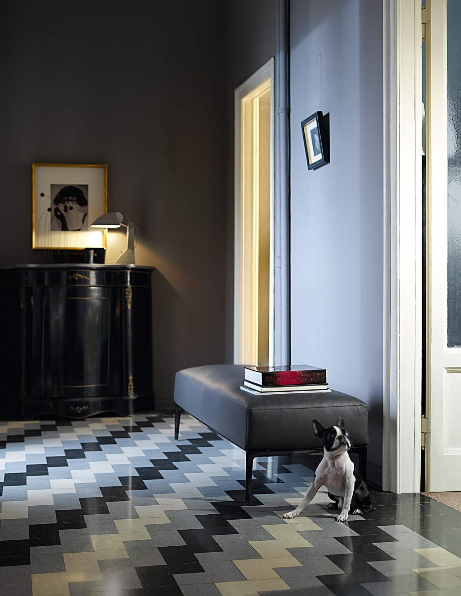 Jaan Living Polsterbank von Walter Knoll in grauem Interieur mit Hund.